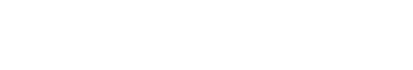 light logo